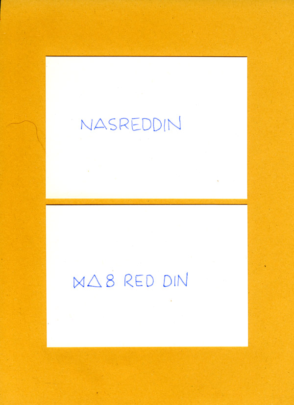 NAS RED DIN