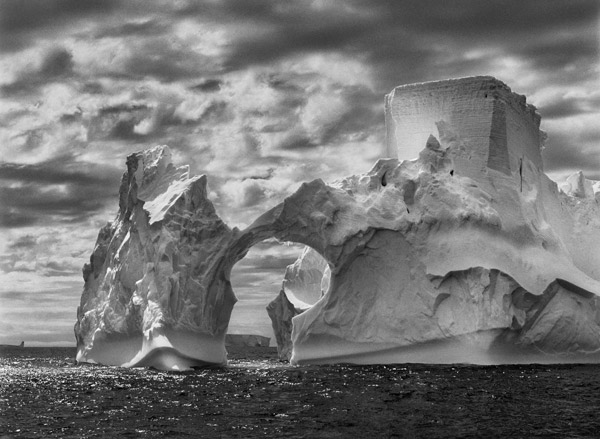 © Sebastião Salgado - Genesis