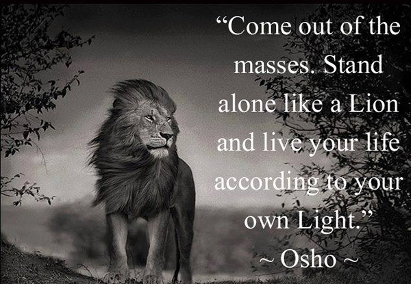 the light lion by osho